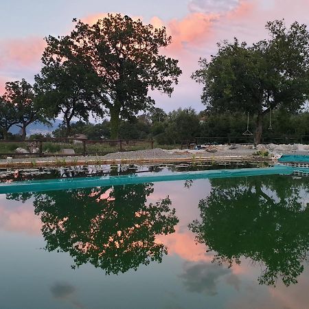 Agriturismo Albero Del Miele Villa San Rufo Eksteriør billede