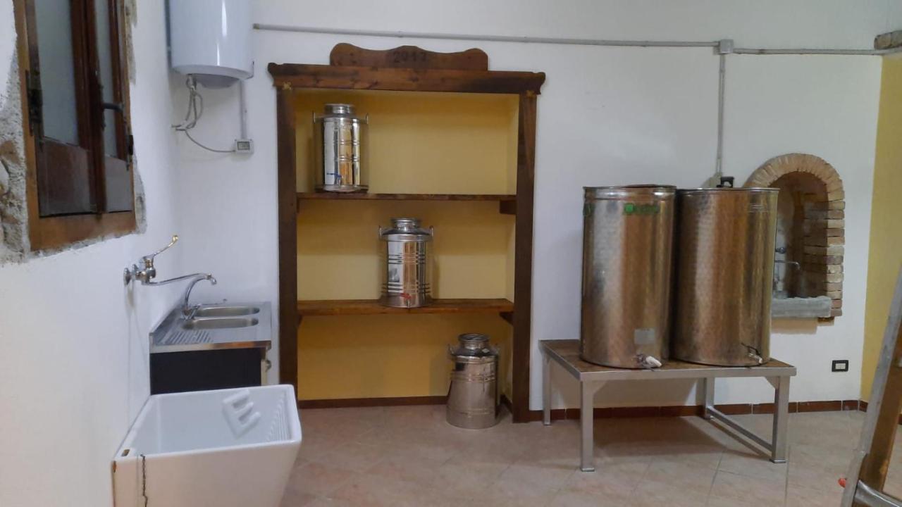 Agriturismo Albero Del Miele Villa San Rufo Eksteriør billede
