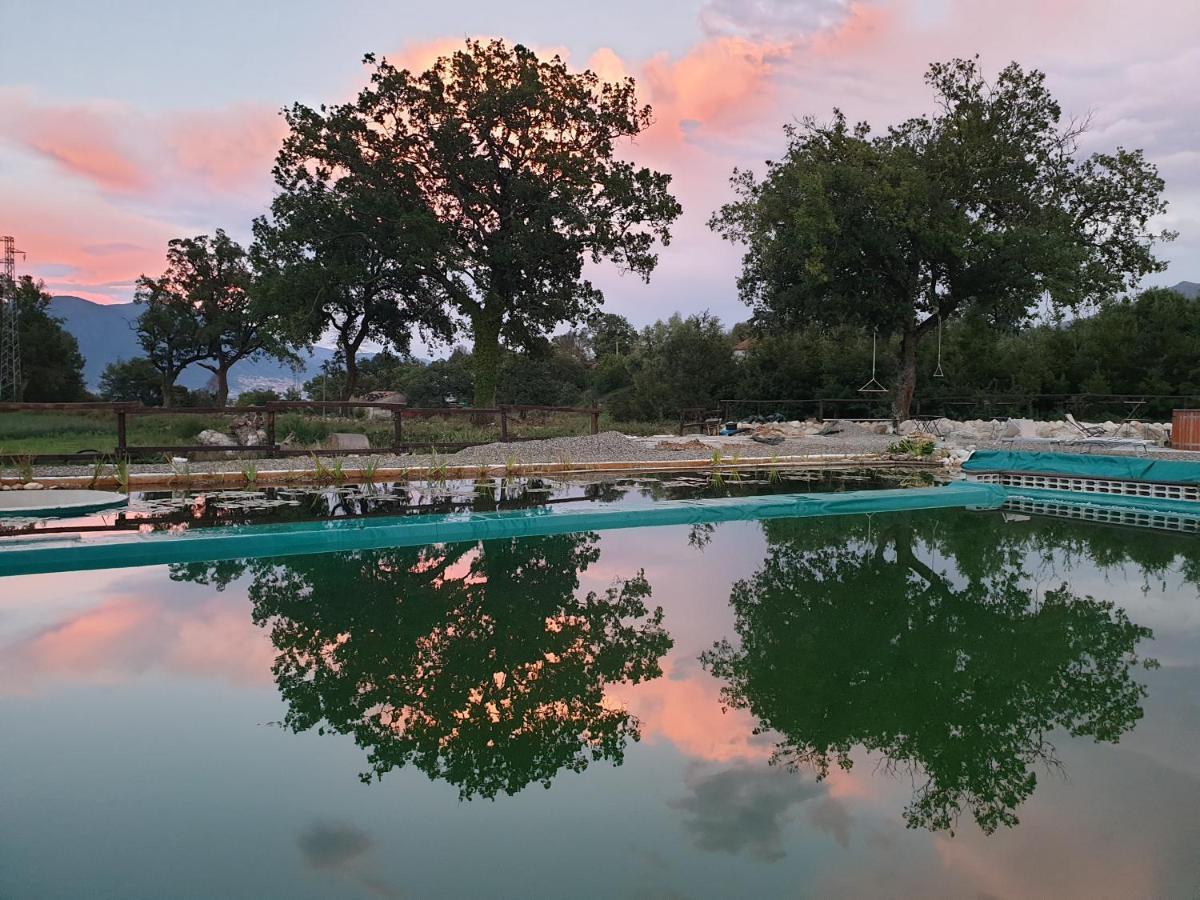 Agriturismo Albero Del Miele Villa San Rufo Eksteriør billede